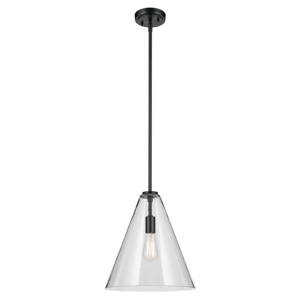 Everly 15.5" 1-Light Cone Pendant with Clear Glass in Black