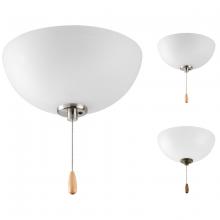 Progress P2650-01WB - Bravo Collection Two-Light Ceiling Fan Light