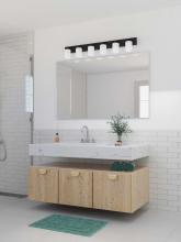 PROG_AG_Transitional_Bathroom_P300421-031_3D_appshot.jpg