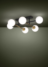 390176A_LS1.jpg