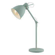 Eglo 49097A - 1x40W Desk Lamp with Pastel Light Green Finish