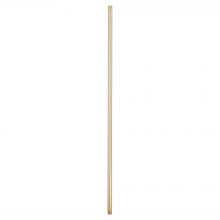 Cyan Designs 11973 - 60" Downrod - Aged Brass