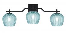 Toltec Company 2313-MB-4605 - Bathroom Lighting