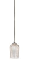 Toltec Company 560-GP-4253 - Zilo Stem Mini Pendant, Graphite Finish, 5" Silver Textured Glass