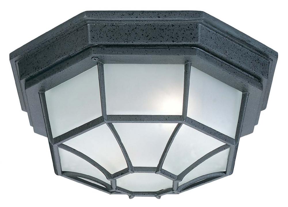 2 Lamp Outdoor Ceiling Fixture