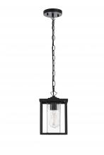 Elegant OD302H11BK - Outdoor Hanging L7" H10.5" E7" L1 Black