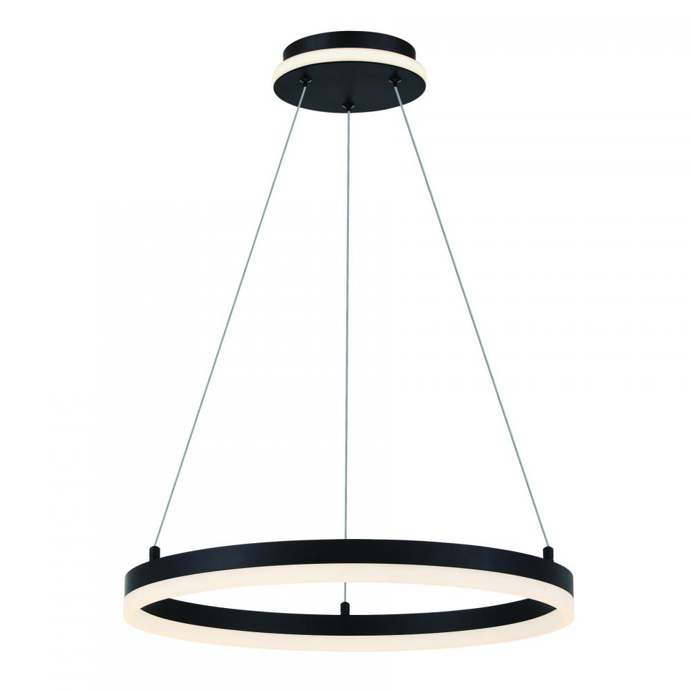 RECOVERY - LED PENDANT FIXTURE