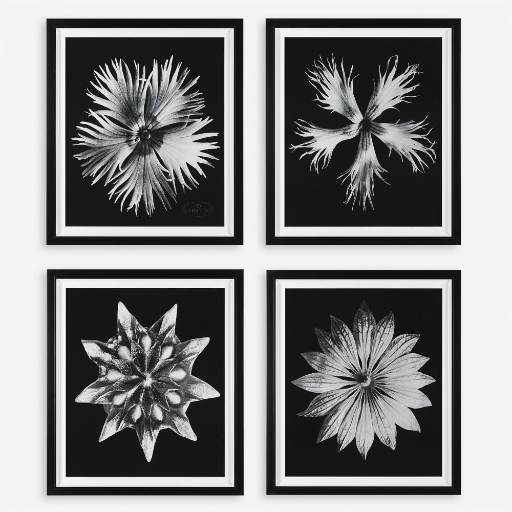Uttermost Contemporary Floret Framed Prints, S/4