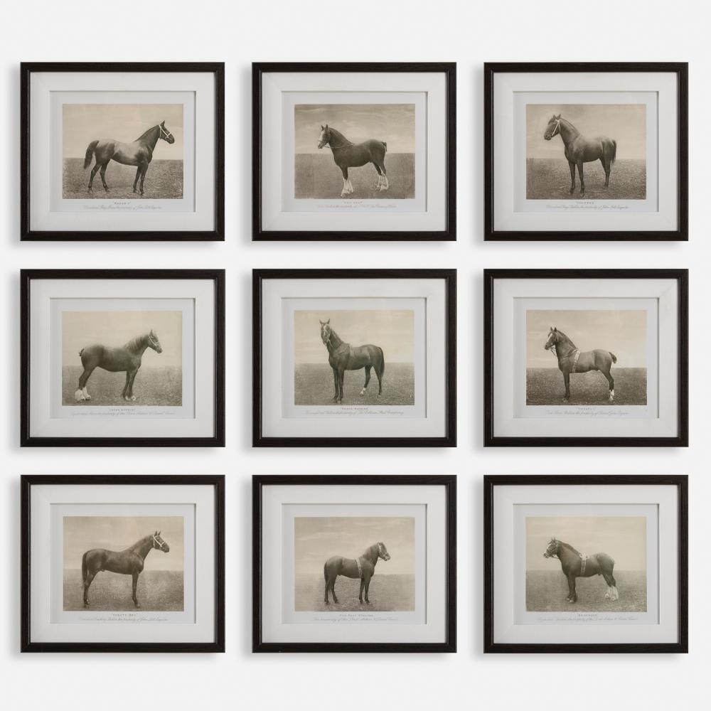 Uttermost Equine Dynasty Framed Prints Set/9