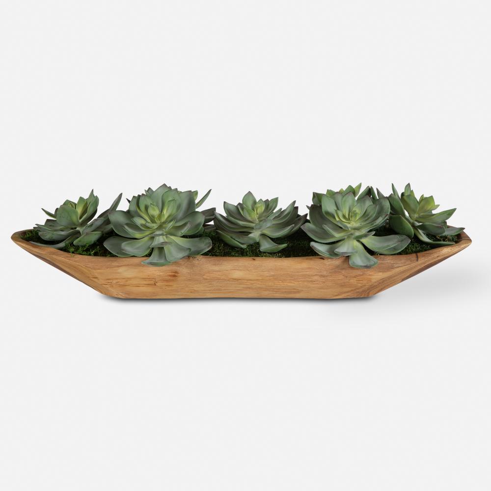 Yuma Succulent Centerpiece