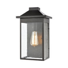 ELK Home 46701/1 - SCONCE