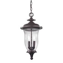 ELK Home 8002EH/75 - Thomas - Trinity 9'' Wide 2-Light Outdoor Pendant - Oil Rubbed Bronze