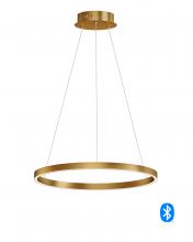 ET2 E22724-GLD - 24" LED Pendant CCT